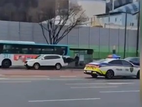  Video: Đà điểu trốn khỏi vườn thú "náo loạn" đường phố Hàn Quốc